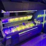 Google Places Image #4