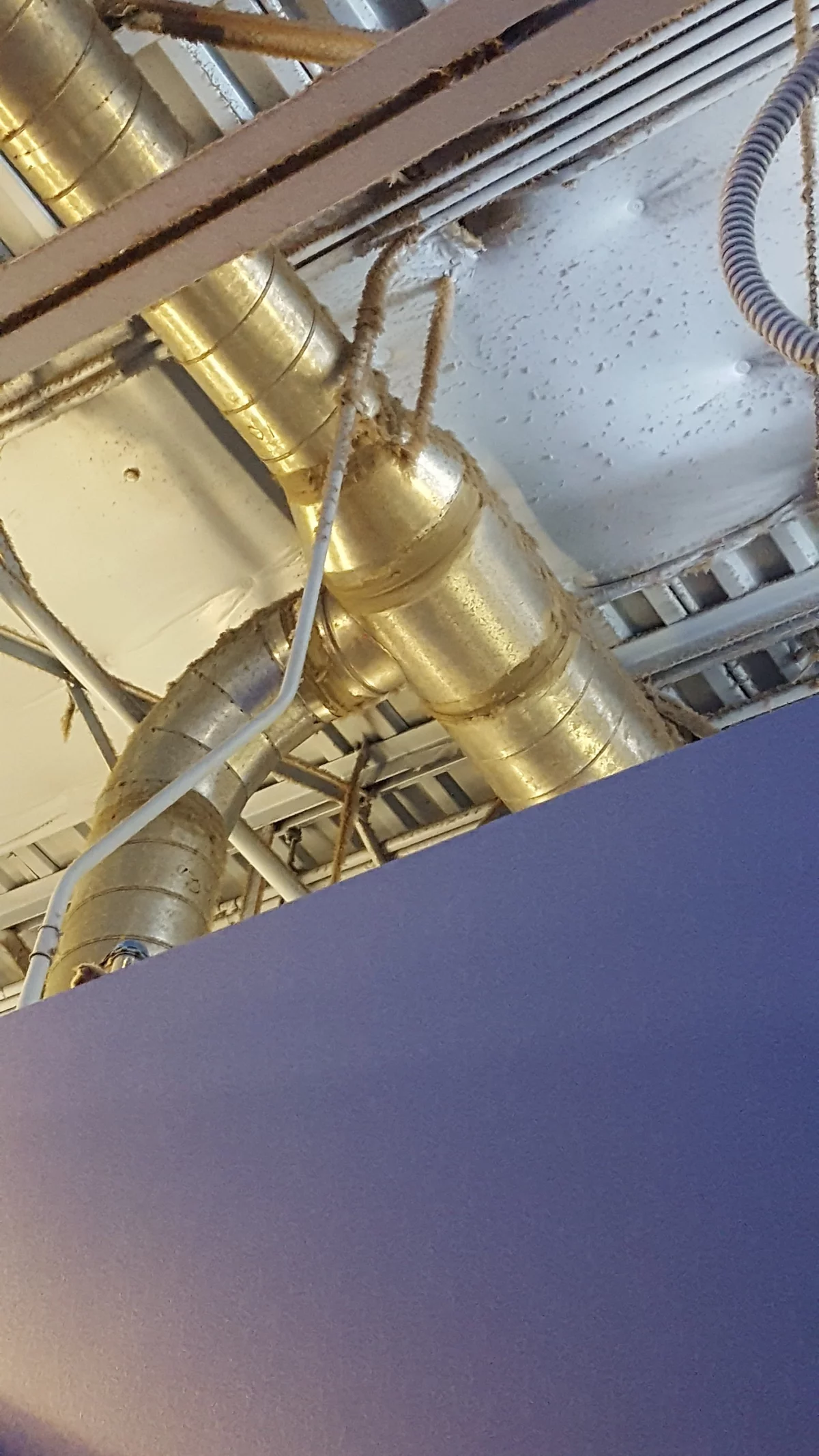 Google Places Image #6