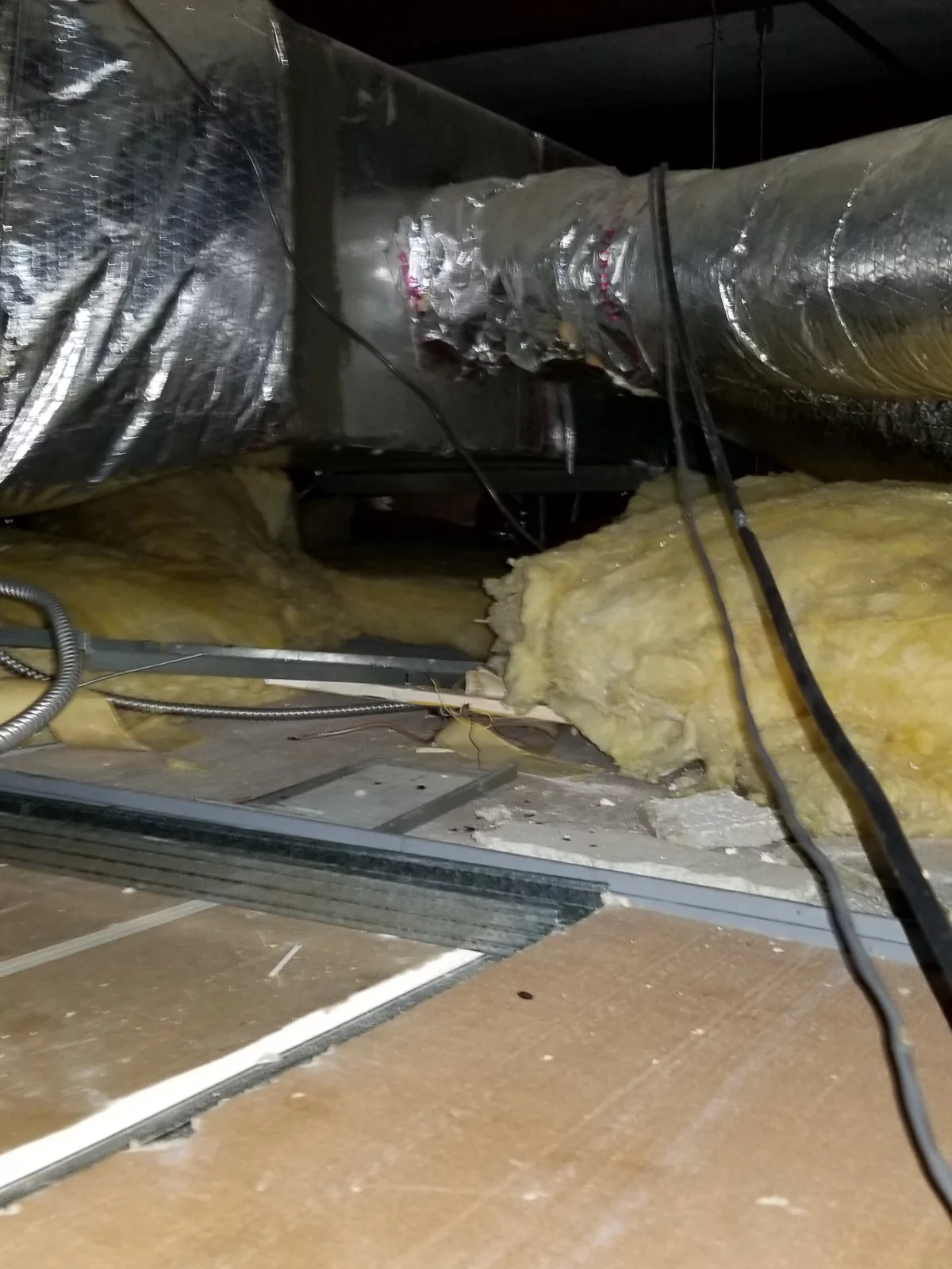 Google Places Image #7