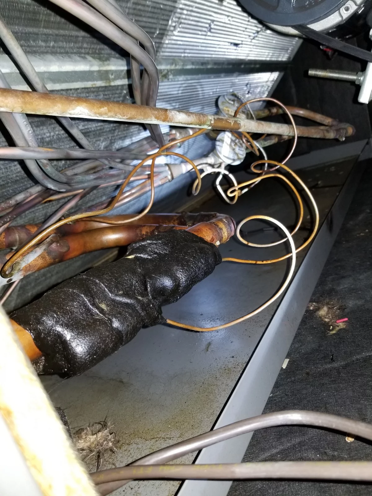 Google Places Image #5