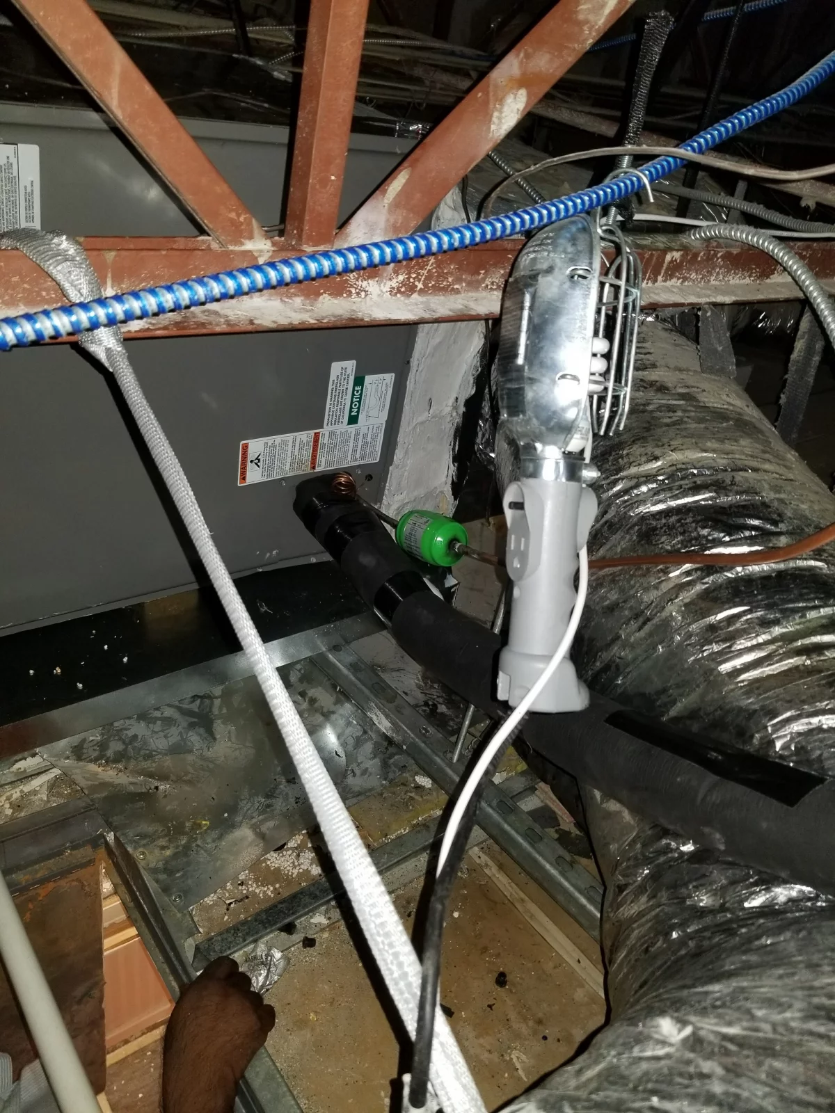 Google Places Image #7