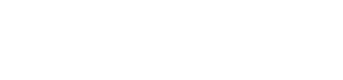 PBT palm tree background