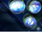 Google Places Image #5