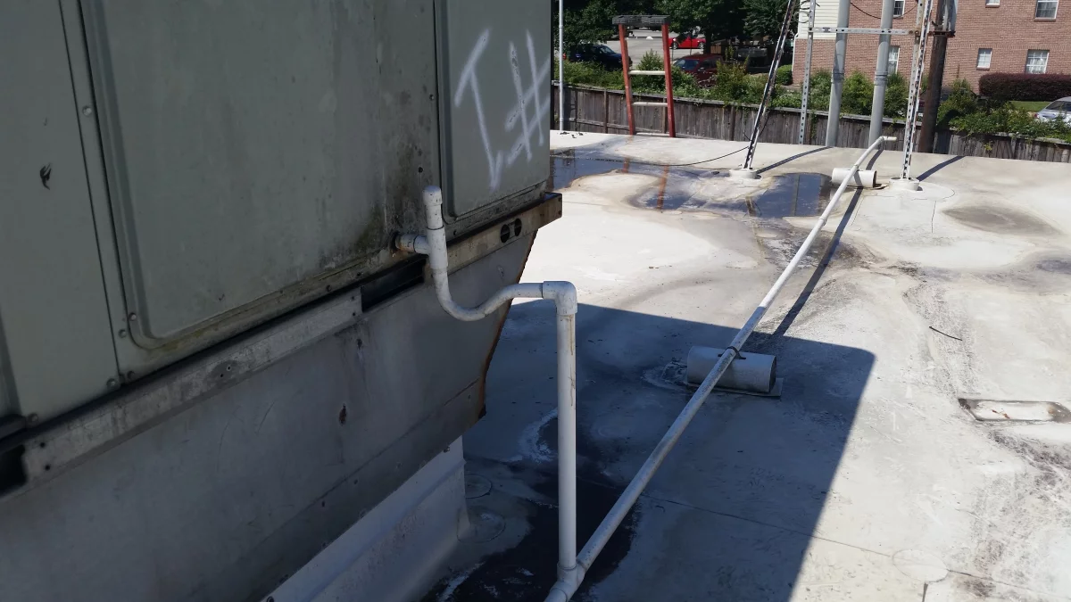 Google Places Image #6