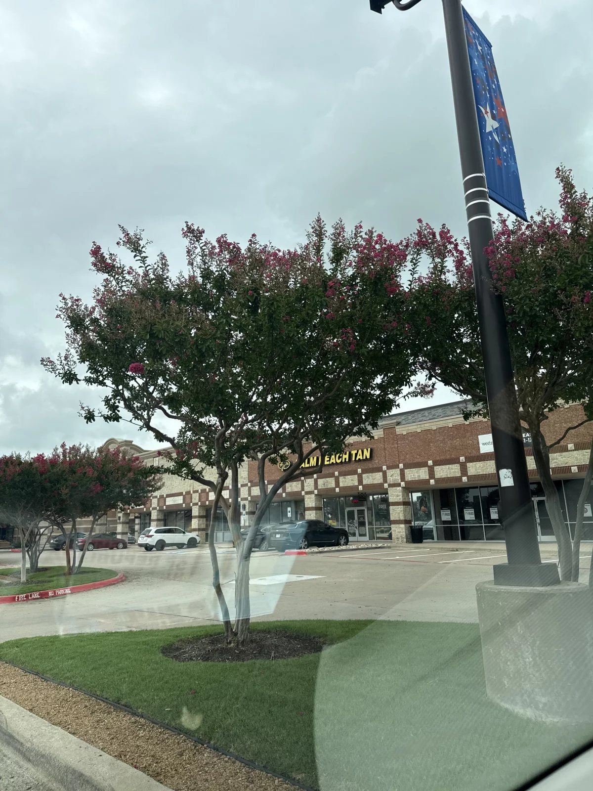 Google Places Image #6