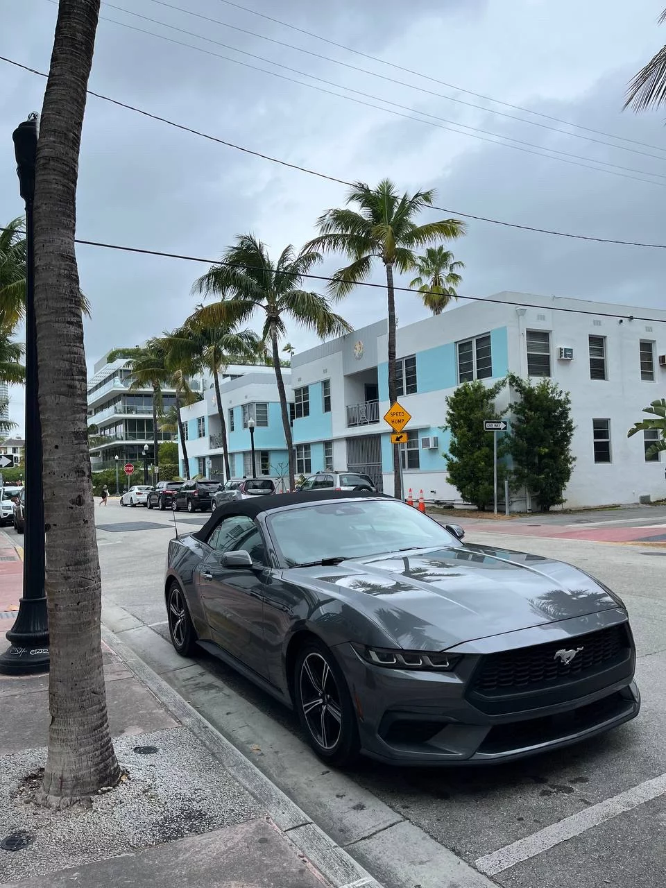 Google Places Image #6