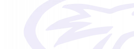 Image: logo bg@2x.png