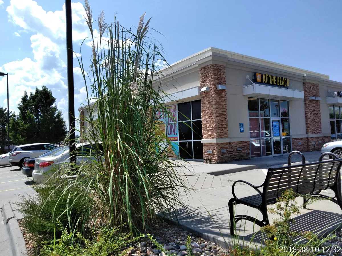 Google Places Image #4