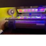 Google Places Image #4