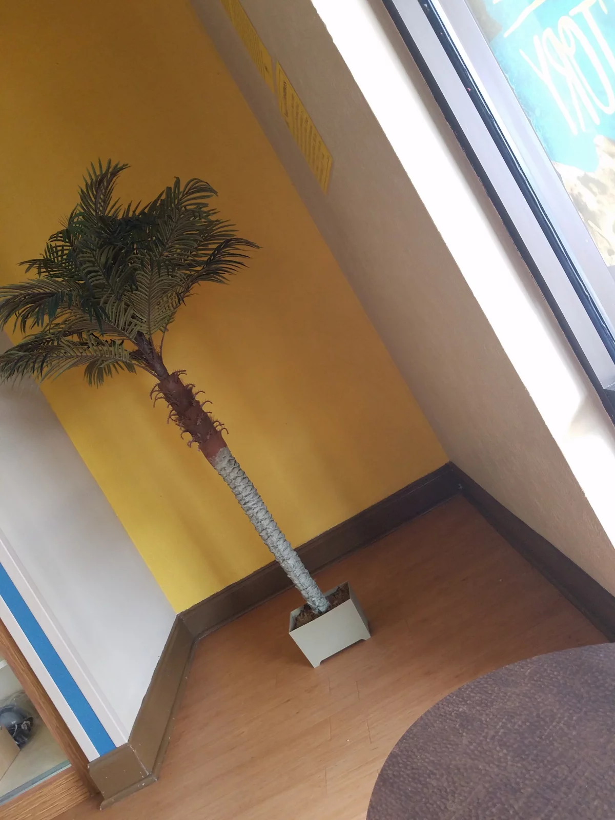 Google Places Image #8