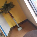 Google Places Image #8