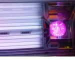 Google Places Image #8