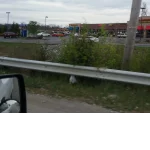 Google Places Image #9