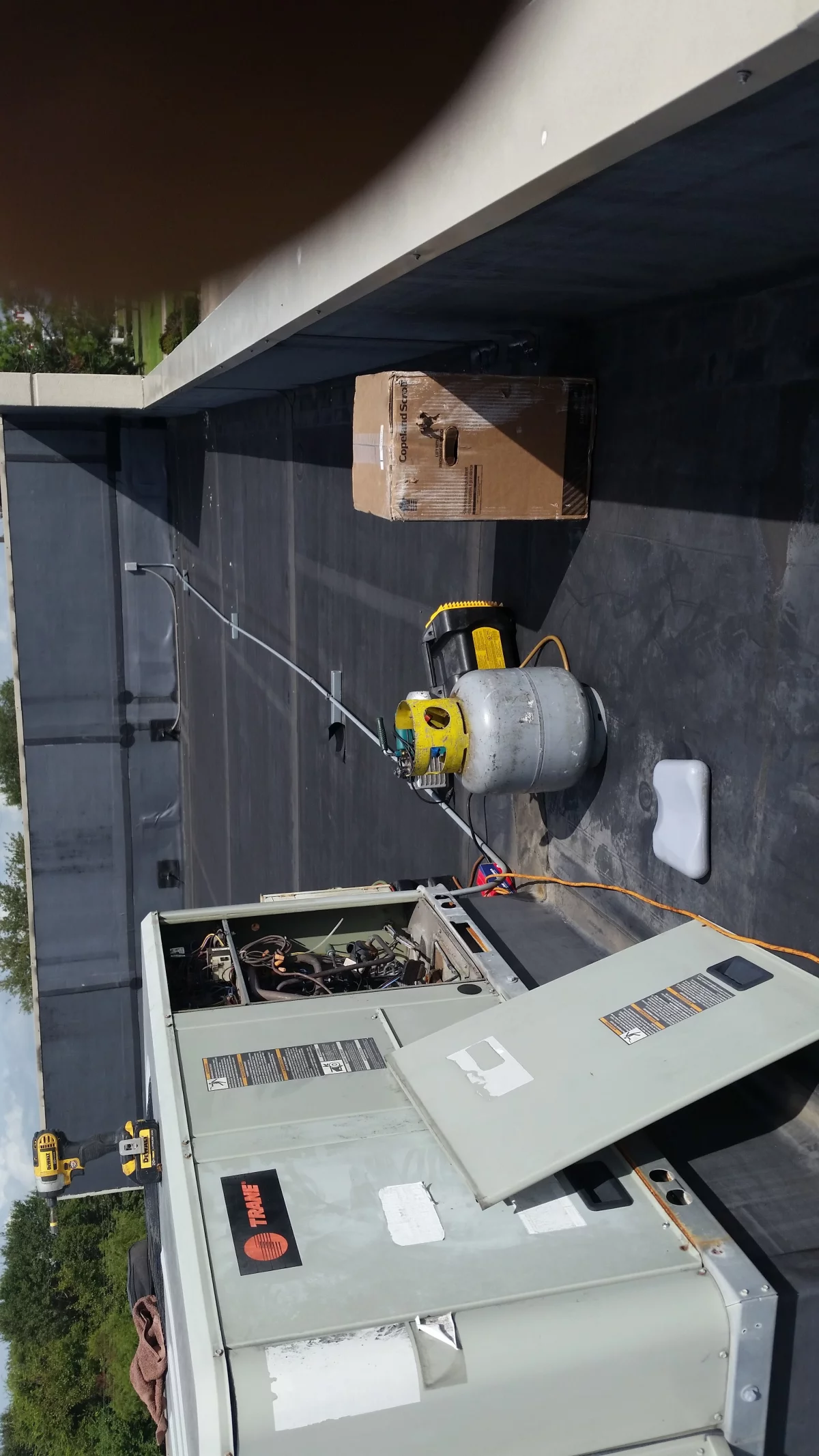 Google Places Image #7