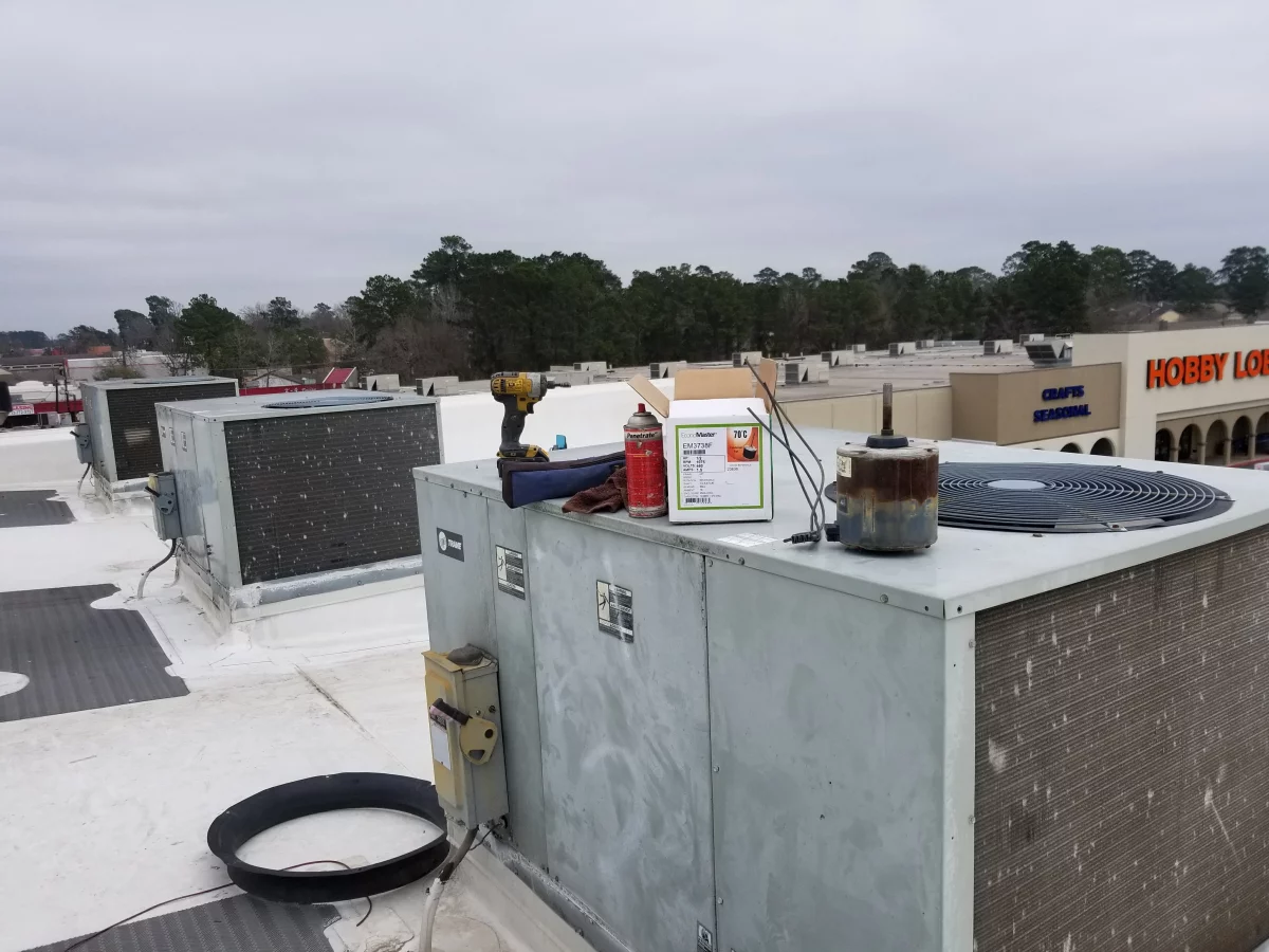 Google Places Image #9