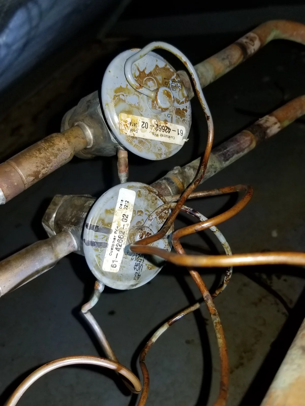 Google Places Image #9