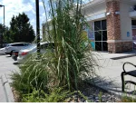 Google Places Image #4