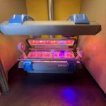 Google Places Image #10