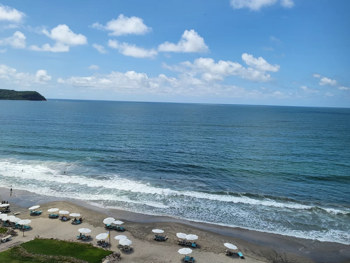 Google Places Image #4