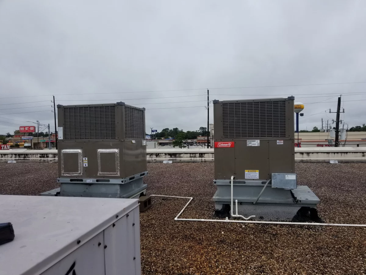 Google Places Image #3