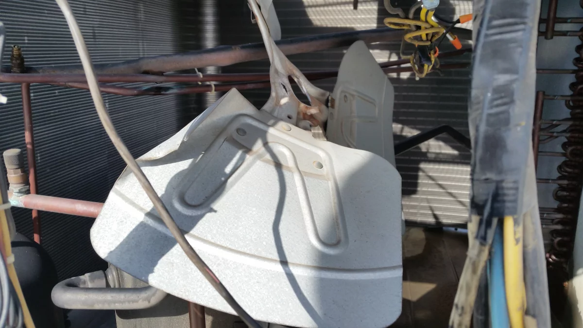 Google Places Image #7