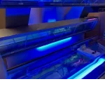 Google Places Image #2