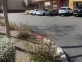 Google Places Image #1