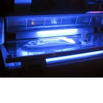 Google Places Image #2