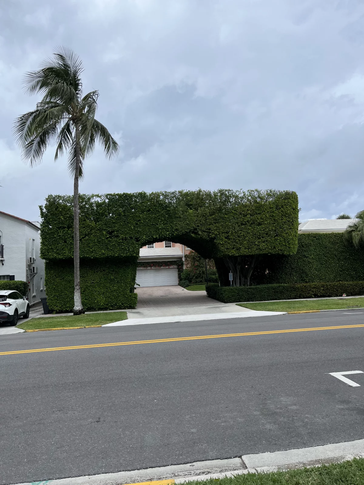 Google Places Image #8