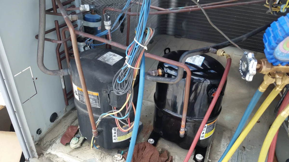 Google Places Image #5