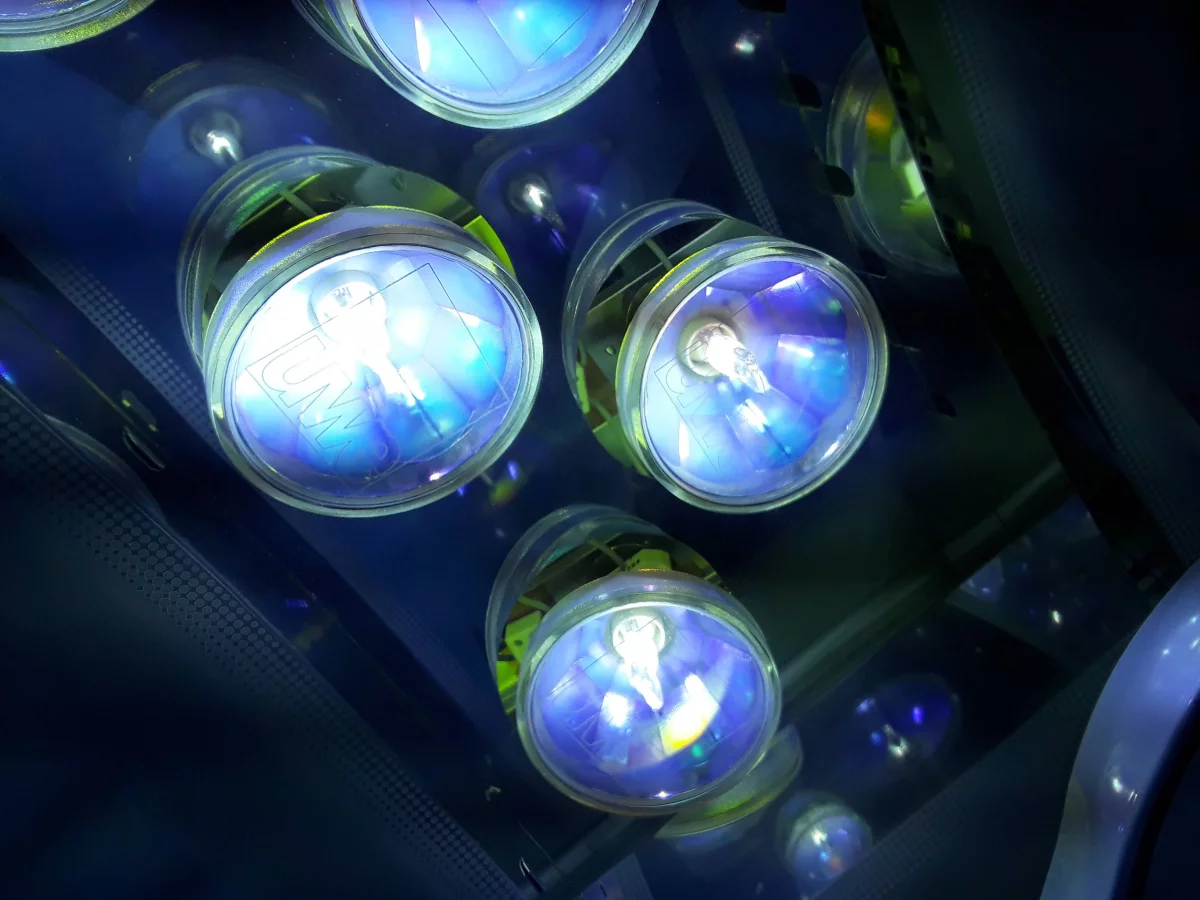 Google Places Image #5