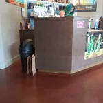 Google Places Image #3