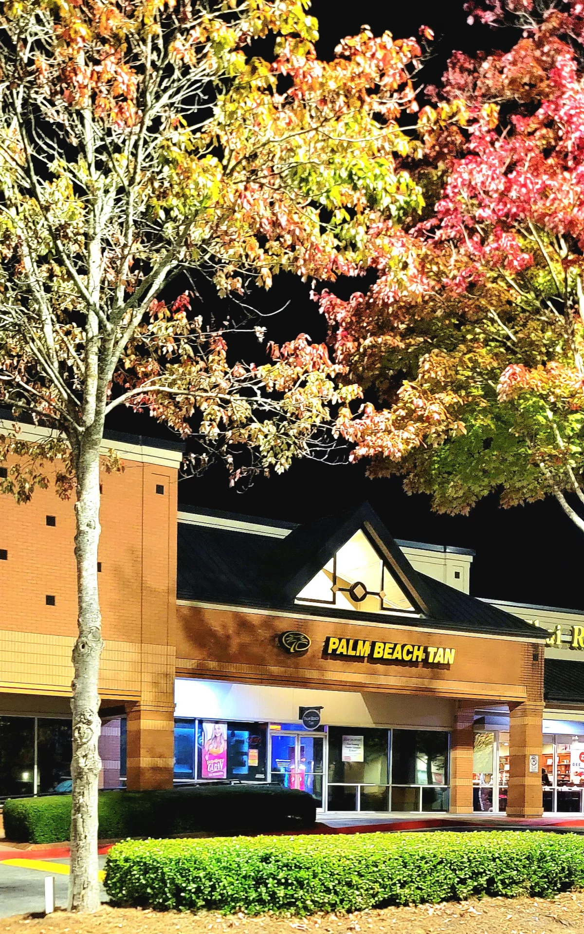 Google Places Image #7