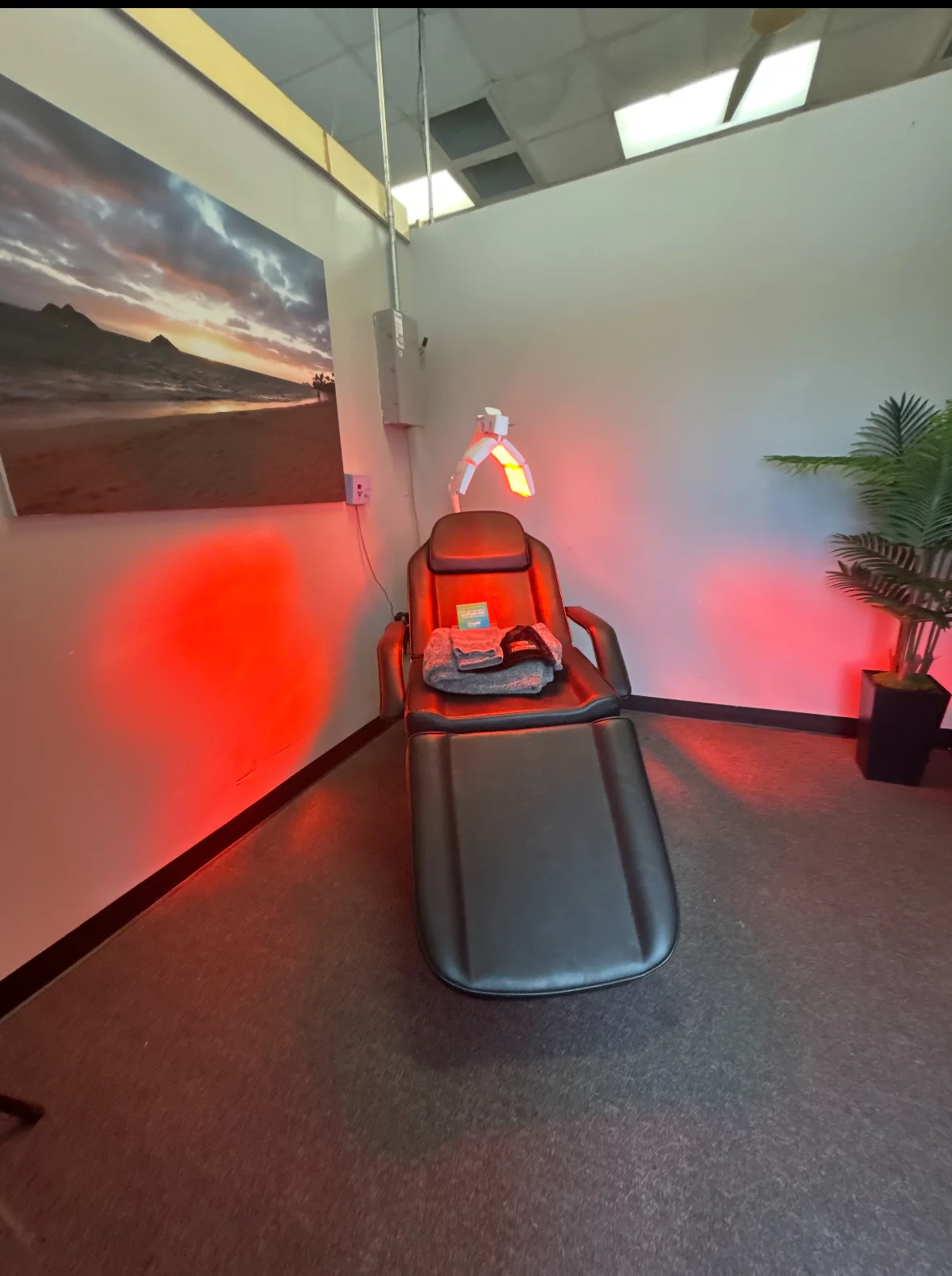 Google Places Image #5