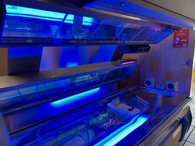 Google Places Image #2