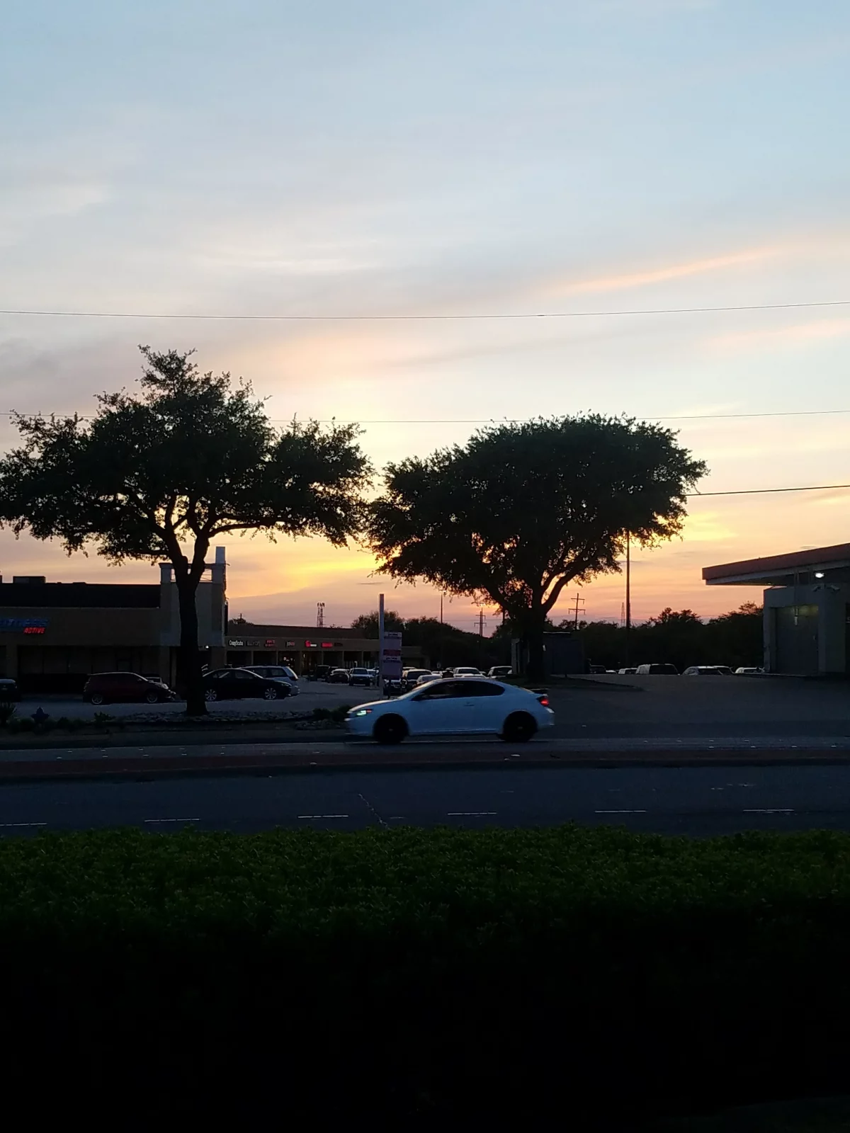 Google Places Image #5