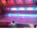 Google Places Image #4