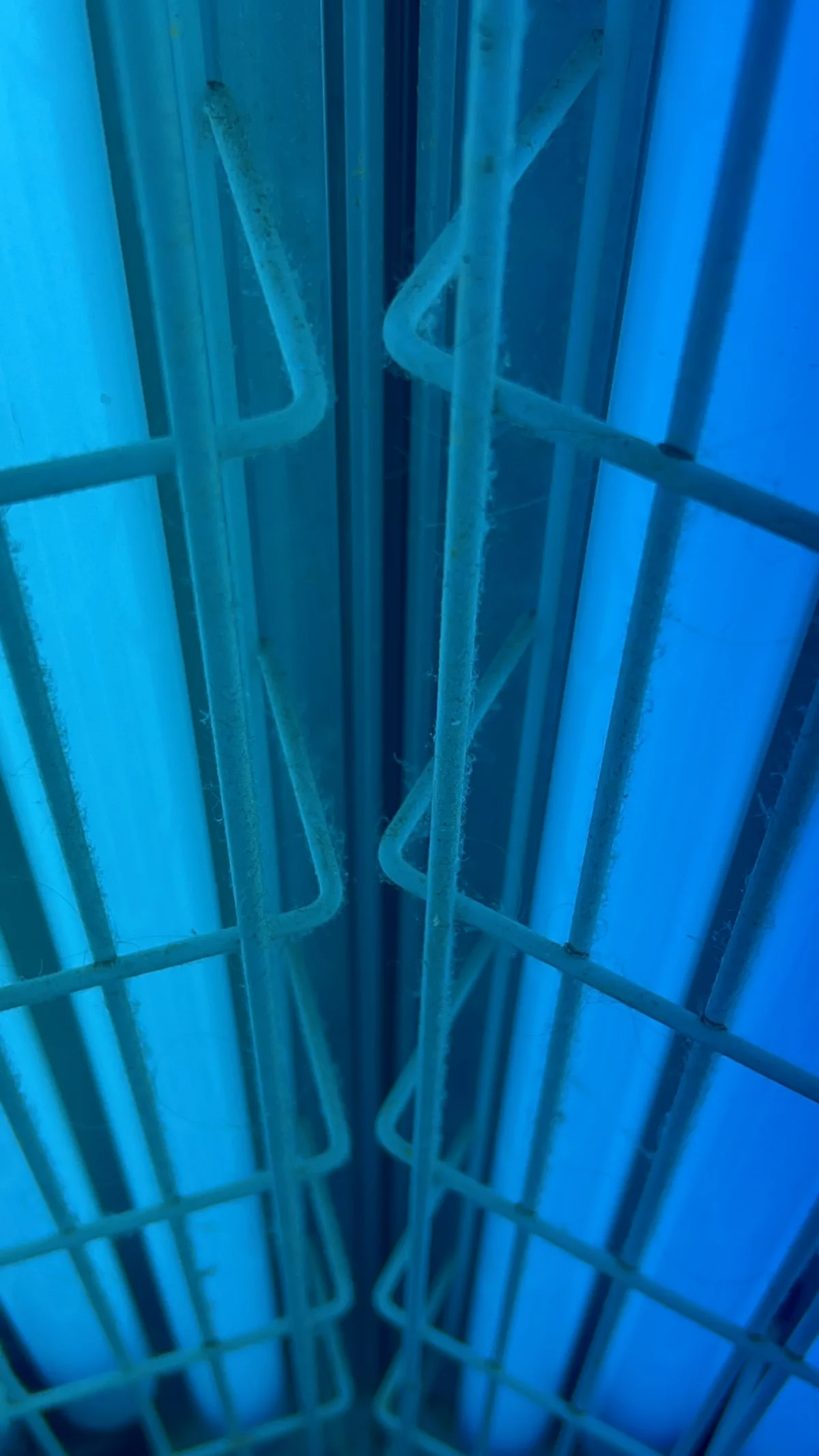 Google Places Image #6