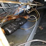 Google Places Image #5