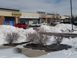 Google Places Image #3