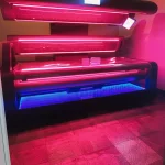 Google Places Image #6