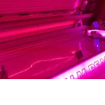 Google Places Image #8