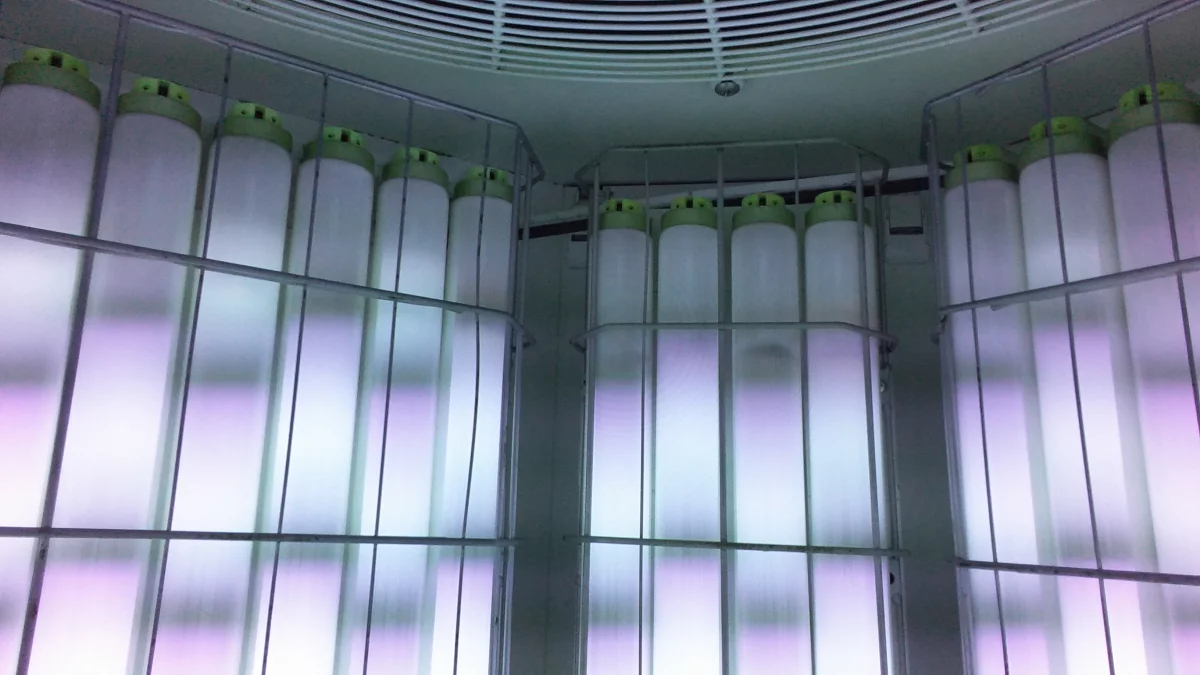 Google Places Image #8