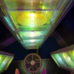 Google Places Image #5