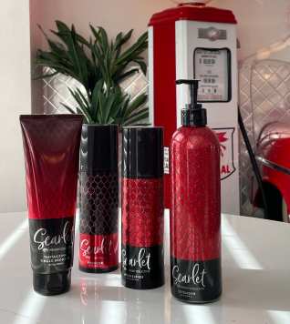 Palm Beach Tan Premier Collections products